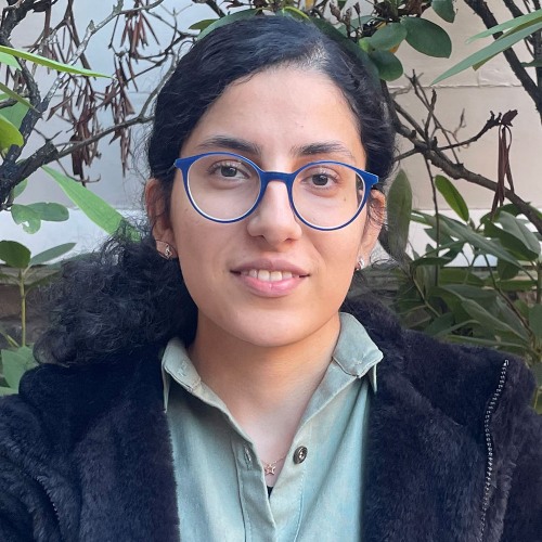 Hanieh Ghorbani